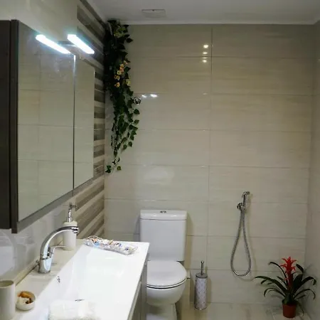 Petros Garden ηouse Apartment Gaitani